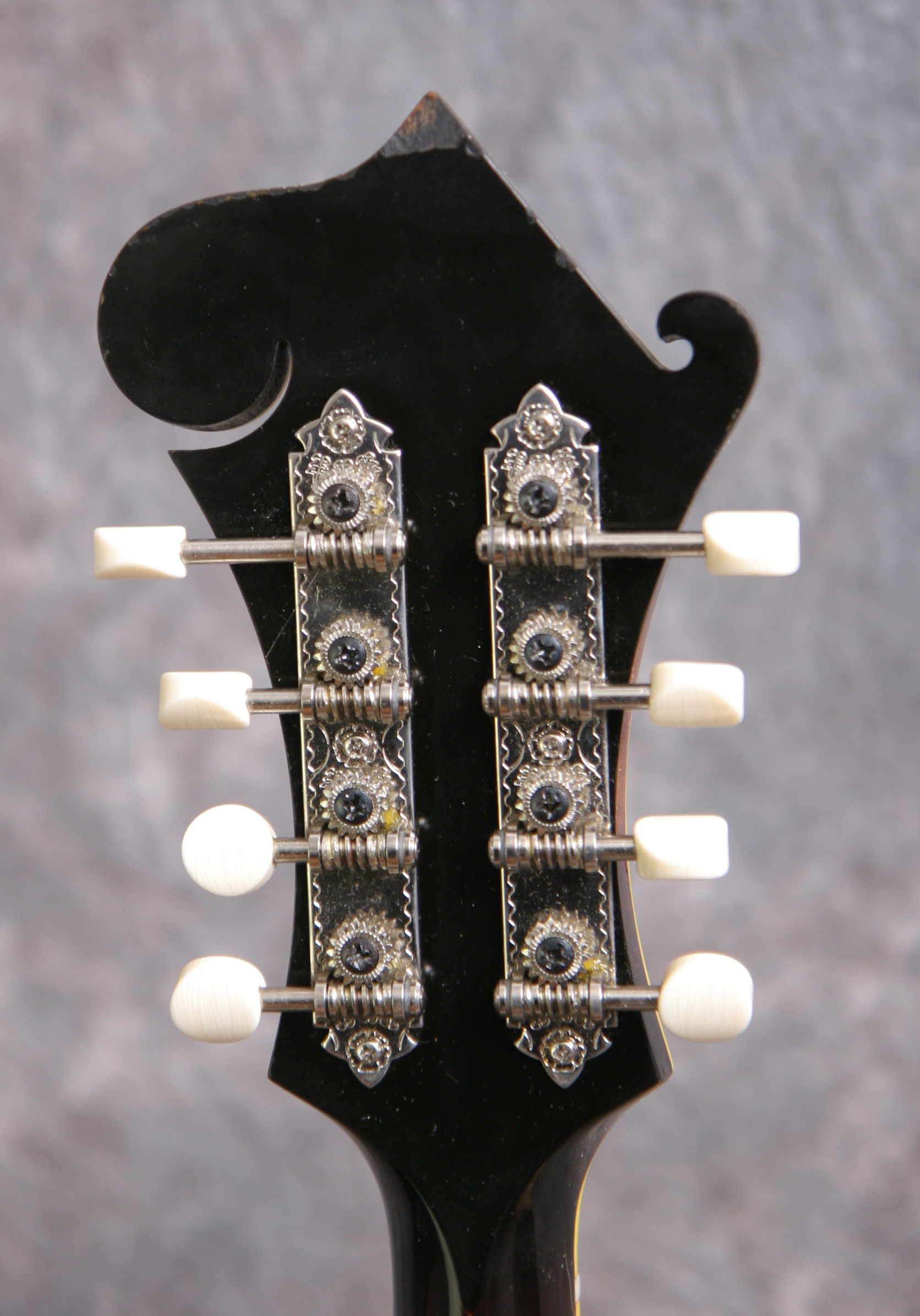 2009 Arches F5 Mandolin