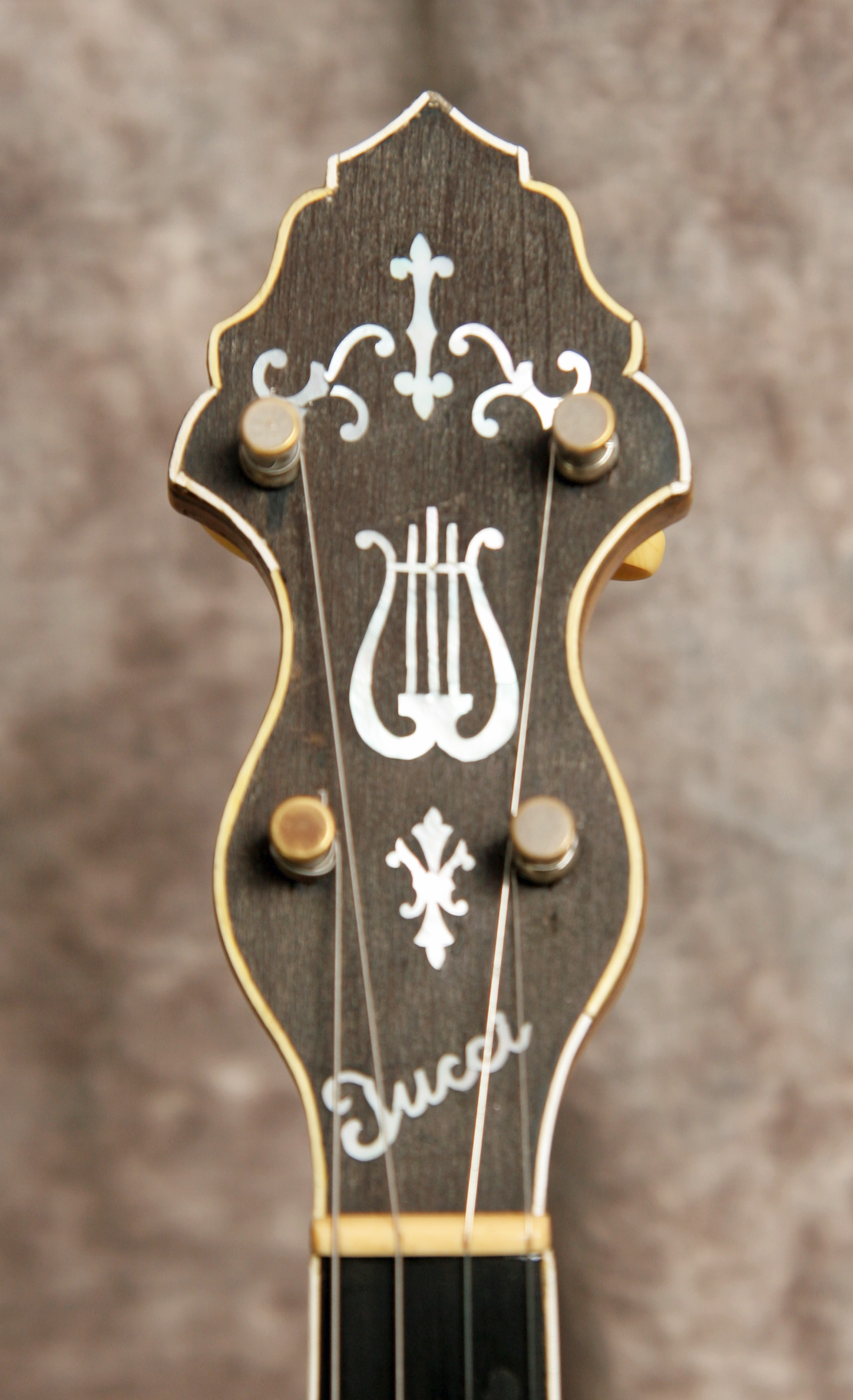 2009 Arches F5 Mandolin