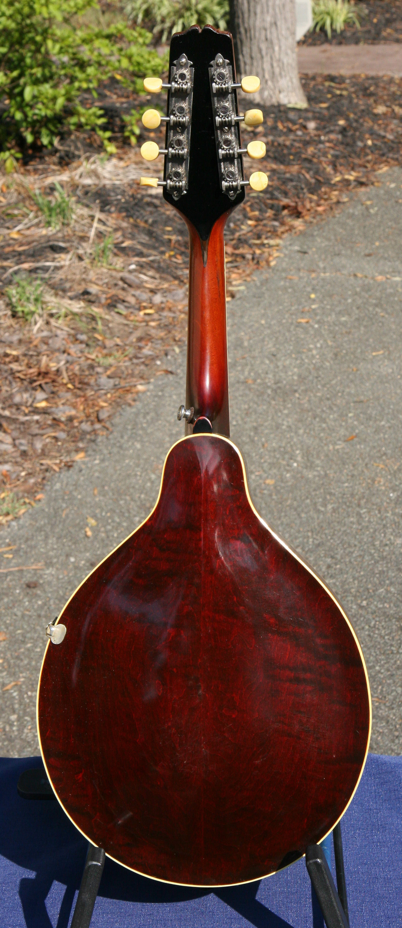 Gibson マンドリン 1916年　ハードケース付き Gibson マンドリン 1916年 ハードケース付き VINTAGE GIBSON A