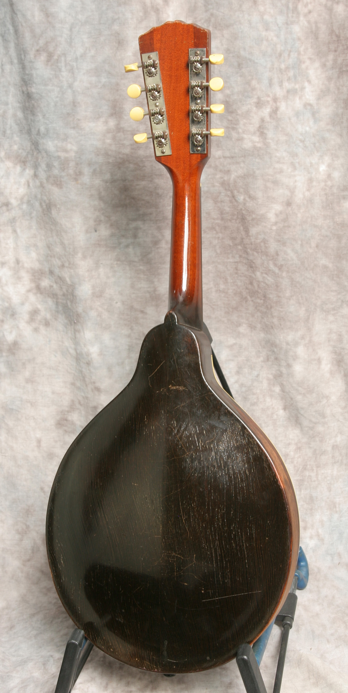 Gibson Mandolin Vintage at Richard Stricker blog