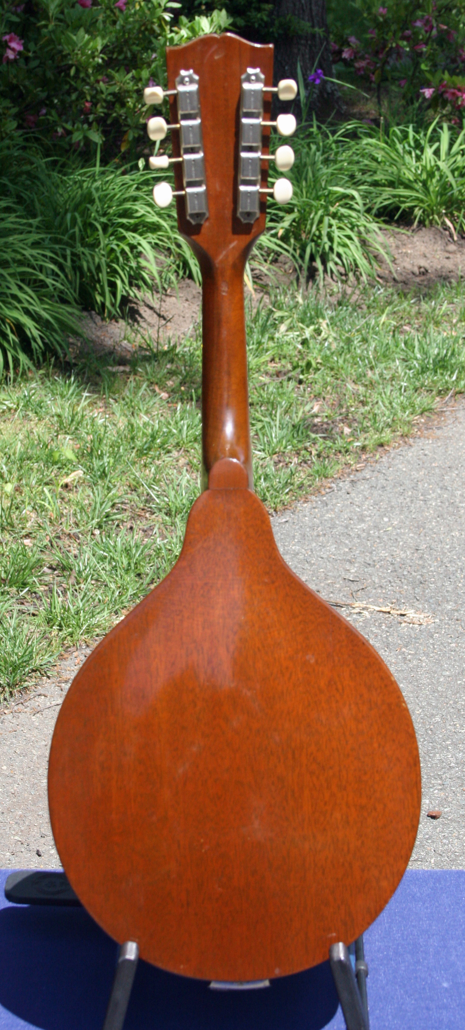1952 Gibson A40 Mandolin