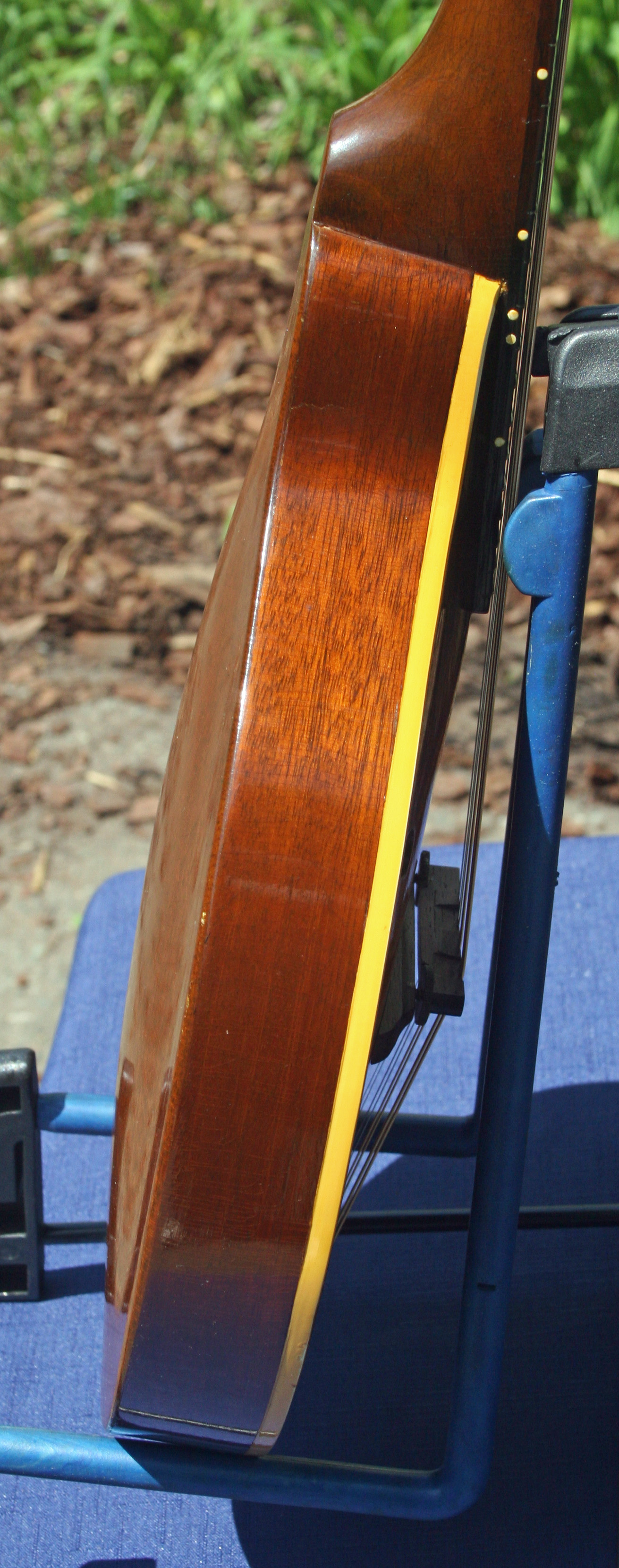1952 Gibson A40 Mandolin
